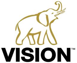 VIsion Group